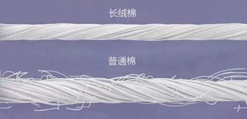 北歐風(fēng)床品新寵 毛腈混紗，如何用簡約美學(xué)打造高級(jí)睡眠空間？